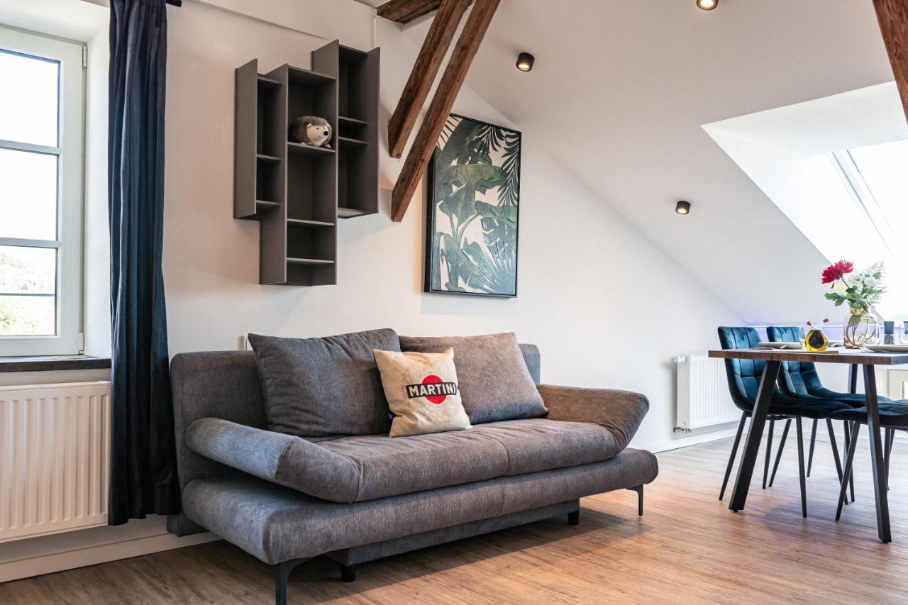 Crest - Riverside Lofts Mit Parken I Balkon I Kueche I Regendusche Passau Ngoại thất bức ảnh