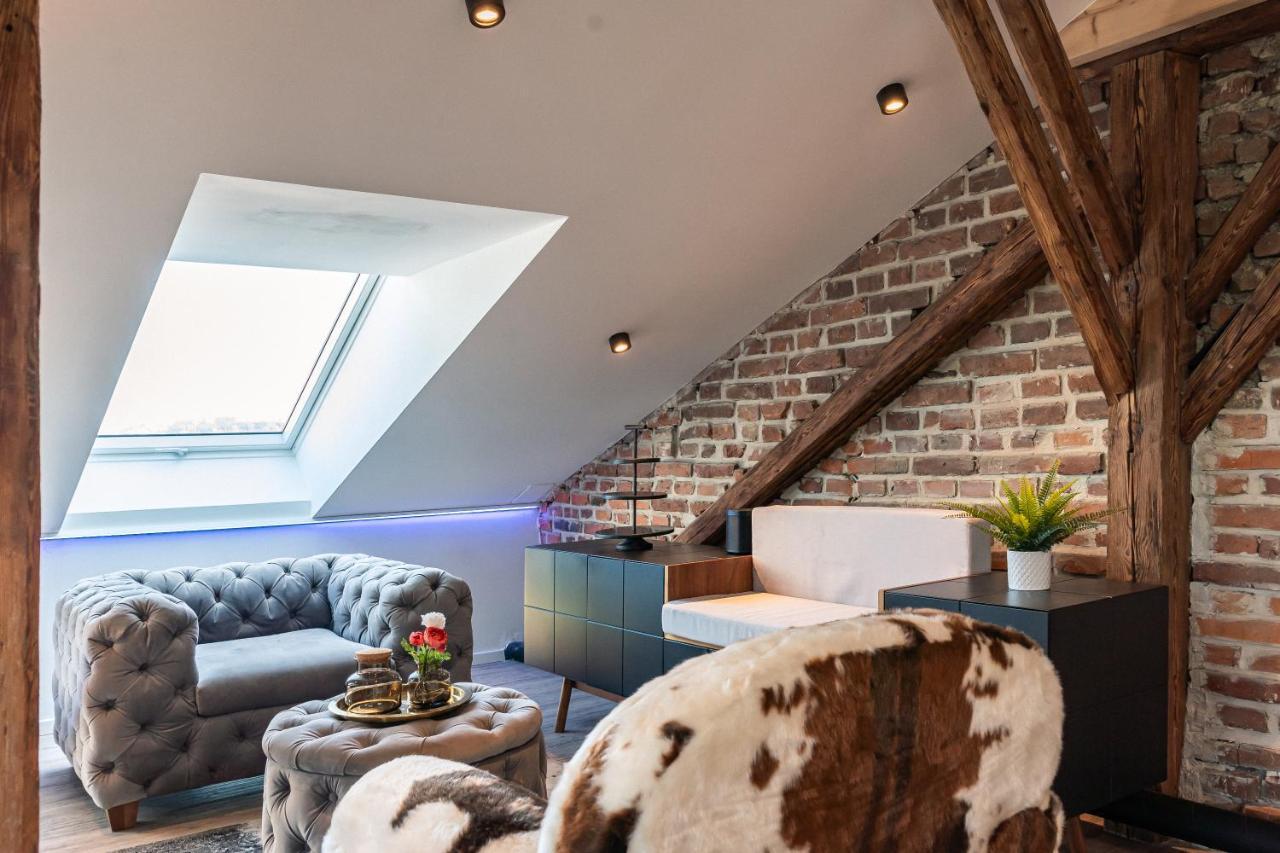Crest - Riverside Lofts Mit Parken I Balkon I Kueche I Regendusche Passau Ngoại thất bức ảnh