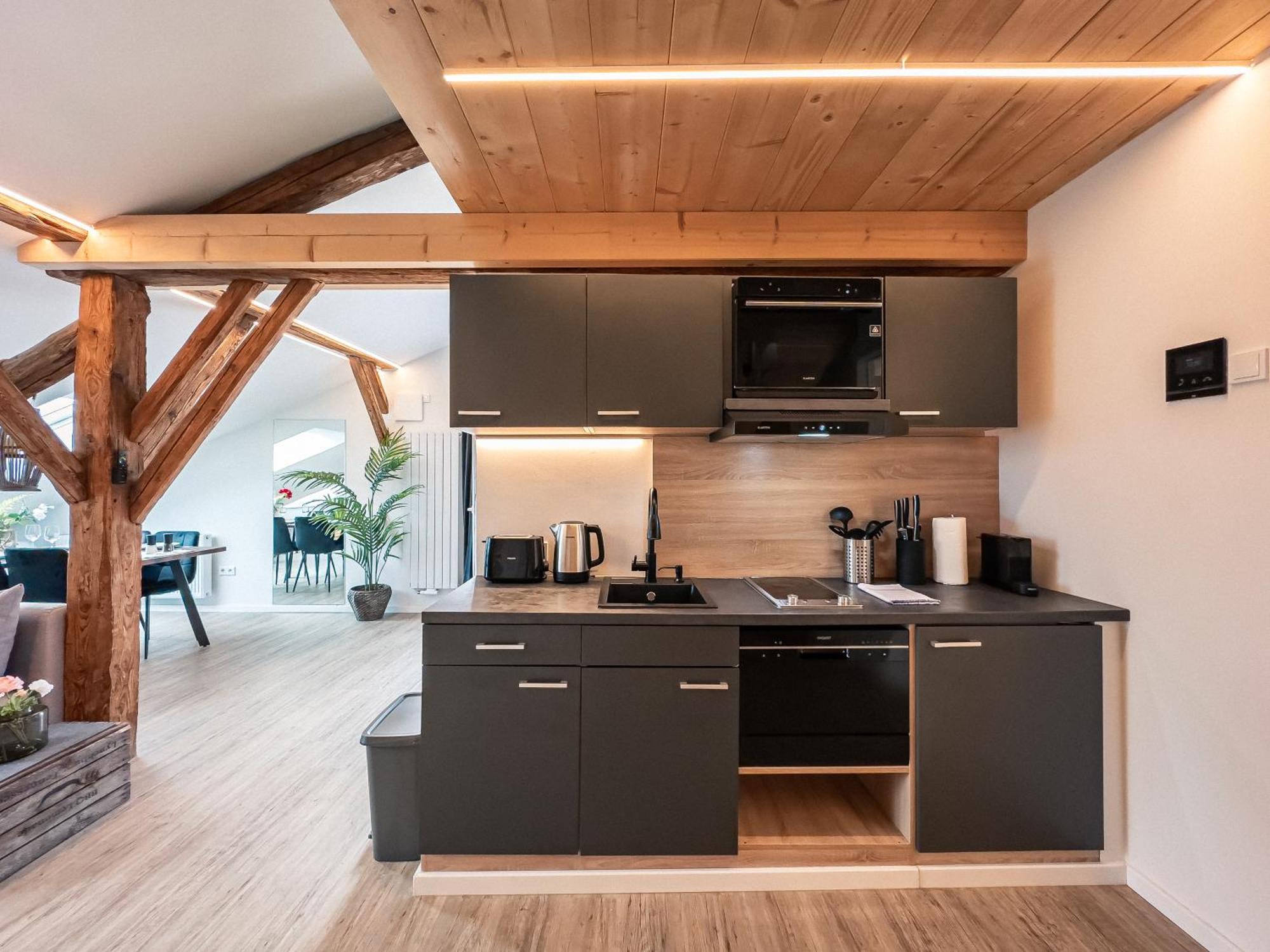 Crest - Riverside Lofts Mit Parken I Balkon I Kueche I Regendusche Passau Ngoại thất bức ảnh
